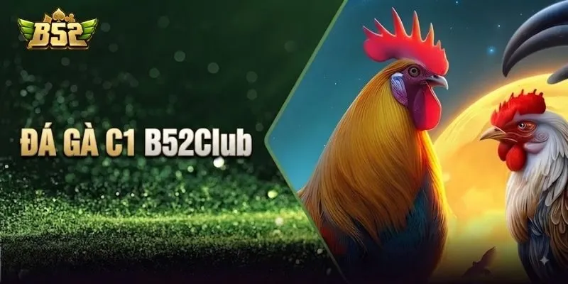 Tổng quan về sảnh đá gà C1 B52Club Tổng quan về sảnh đá gà C1 B52Club